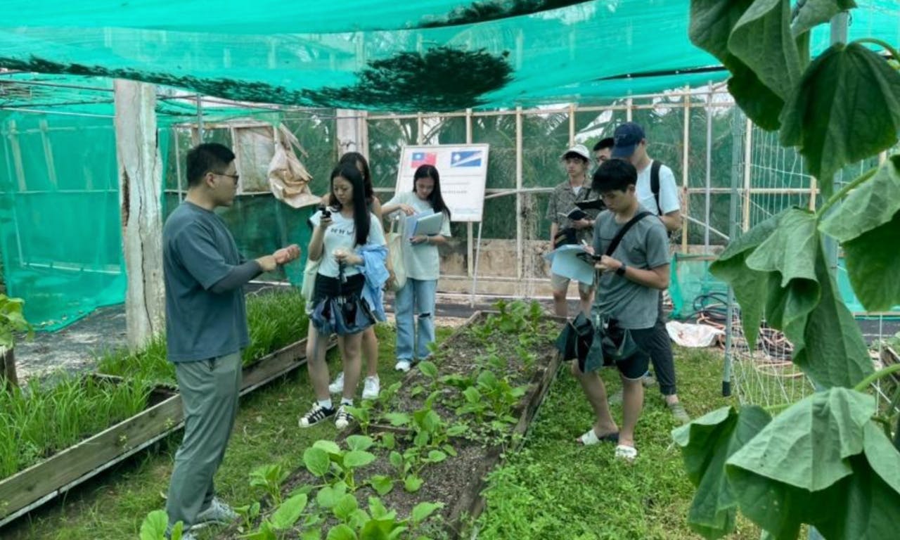 高中生走訪馬紹爾群島（中）：人民嚴重營養失衡，讓友邦吃得健康就是台灣最擅長的魔法- TNL The News Lens 關鍵評論網