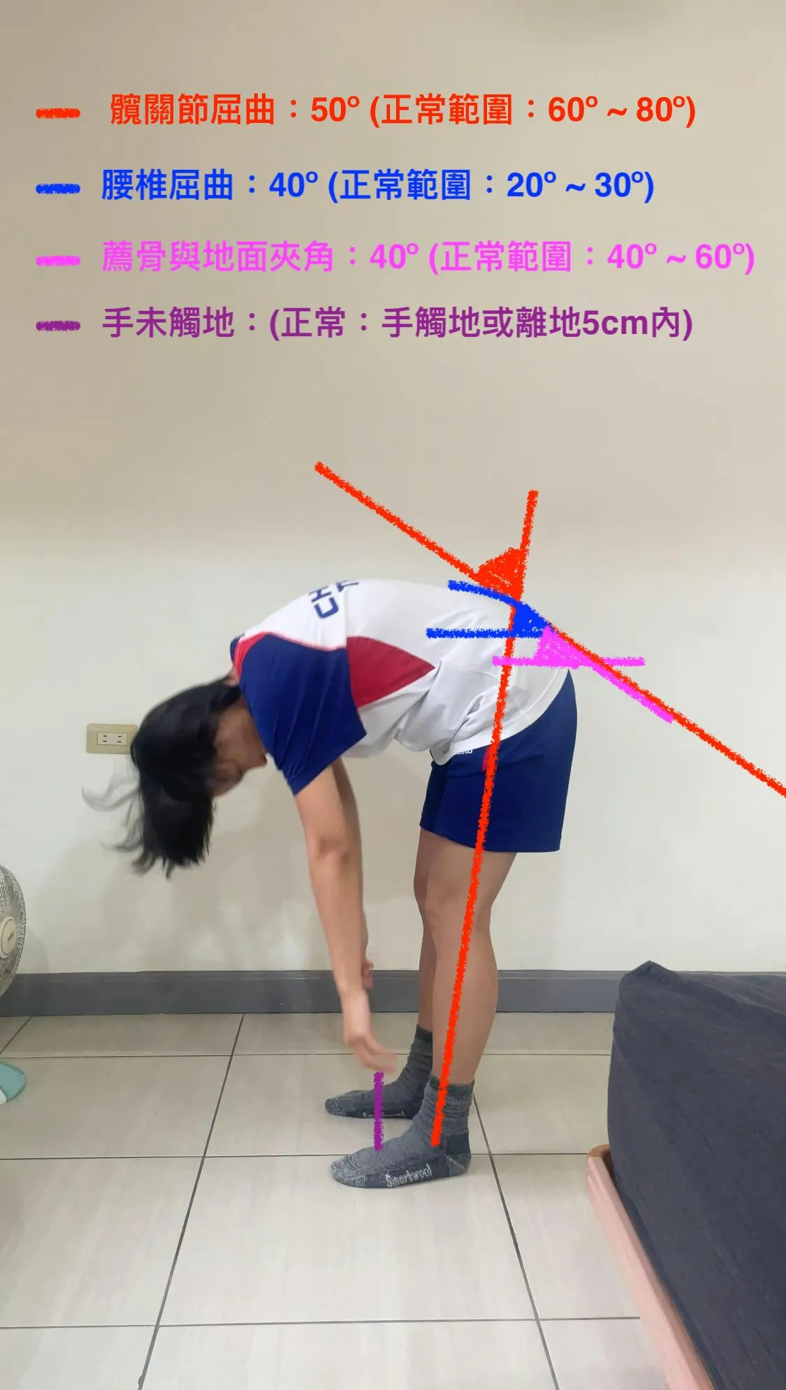 站姿前彎測試的觀察重點：從動作中看見下背風險與張力分布 - 傷害預防 - 健康生活 | 運動視界 Sports Vision