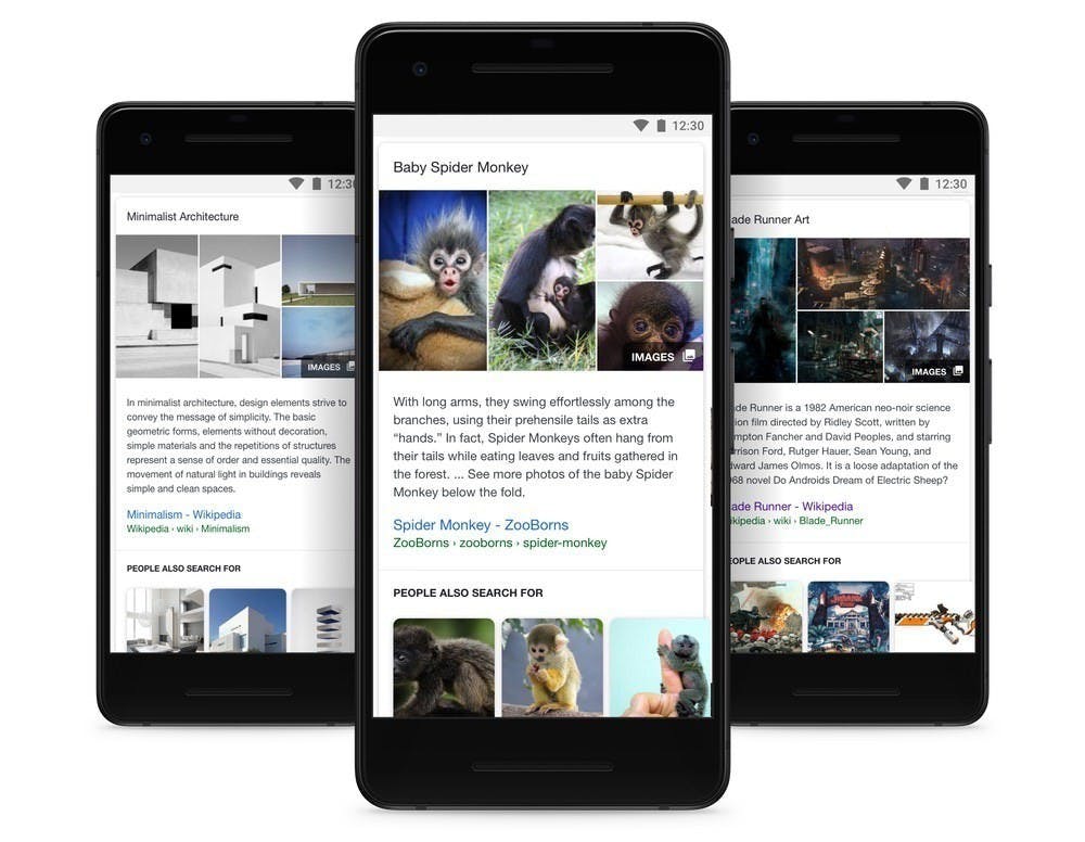 是Google Search以視覺化方式讓使用者更容易找到所需解答這篇文章的首圖