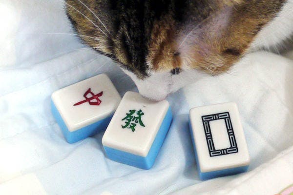 是過年應景的app介紹---博奕篇這篇文章的首圖