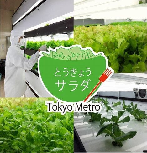 是東京地鐵:青菜滴加啦~~這篇文章的首圖