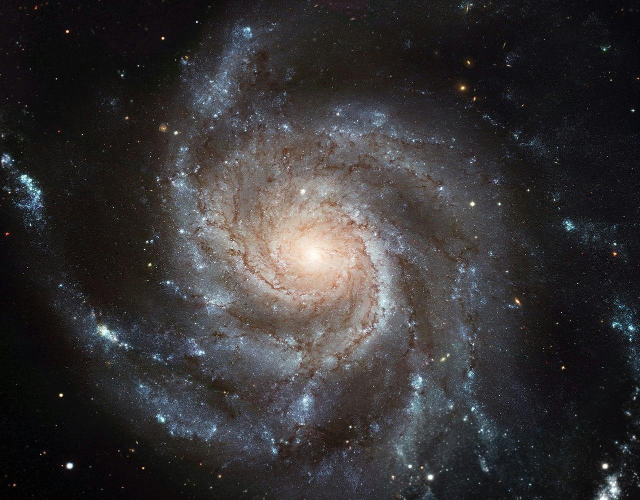 是防政府網路封鎖 加泰隆尼亞用行星檔案系統繞過西班牙辦公投這篇文章的首圖