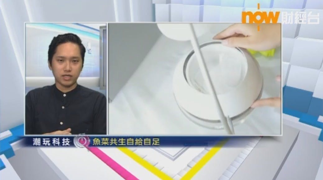 是接受 NOW 財經台「潮玩科技」談香草與魚這篇文章的首圖