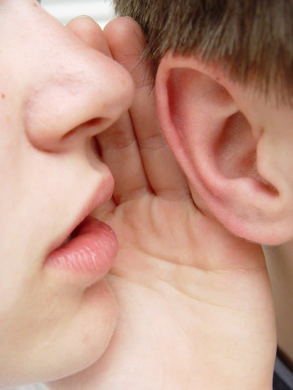 是有此一說/對心儀者「輕聲細語」 求偶本能這篇文章的首圖