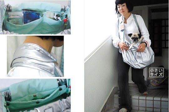 是寵物災難逃生包這篇文章的首圖