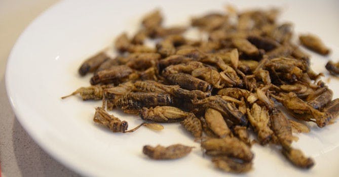是未來食物- 吃蟲蟲救地球!這篇文章的首圖