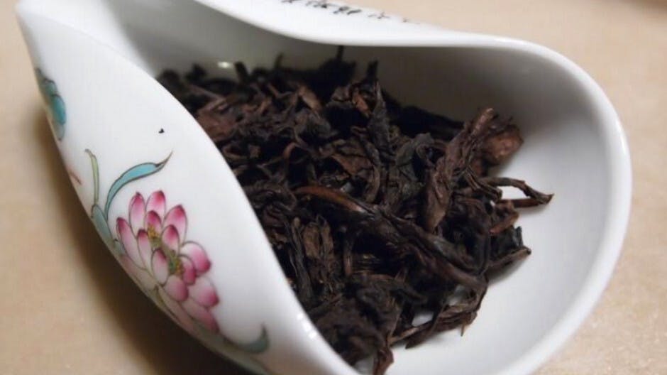 十五年陳的樟平水仙