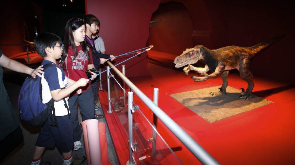 重整「幹莖教育」的呼聲