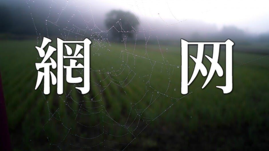 文字繁簡演變：「网」為復古？