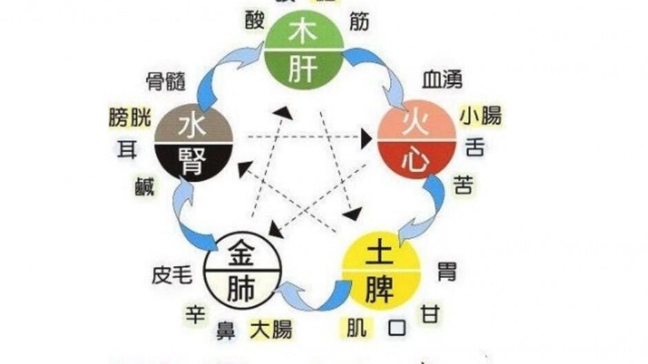當歸補血湯與五行