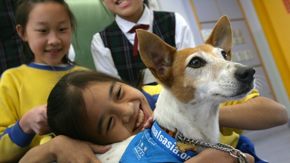 教育法例和法律教育