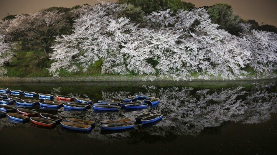攝影是「發現之旅」