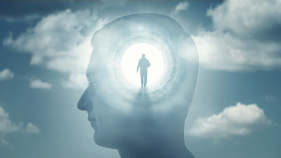 死亡是生命衍化過程中一個美妙的交叉點。（Shutterstock）