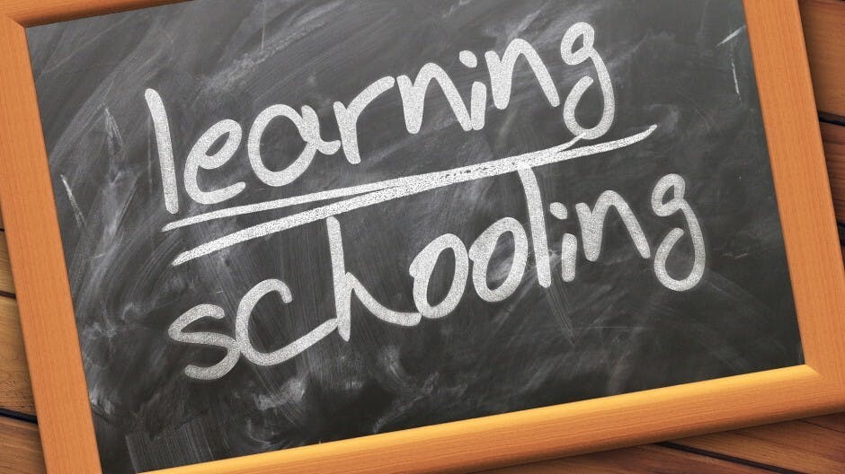 周國平:衡量教育質量,首先把孩子當「人」