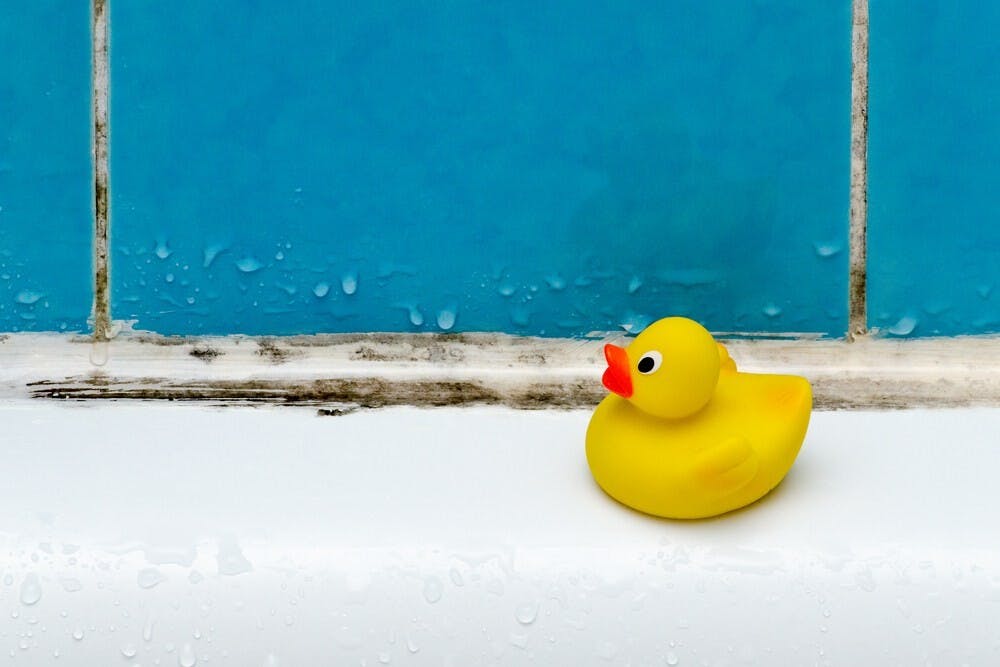 黴菌污染的環境評估有必要時還需專業人士的協助。（Shutterstock）