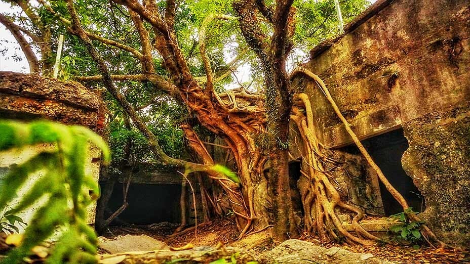 「港版小吳哥窟」廢棄魔鬼山碉堡  Hong Kong's "Little Angkor" - Abandoned Devil's Peak Battery