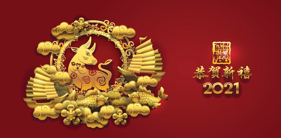2021年是丑年，和香港特區的生肖丑一樣，故今年是香港特區的第二個本命年。（Shutterstock）