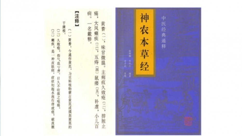 傳統中醫藥學之創世之作《神農本草經》