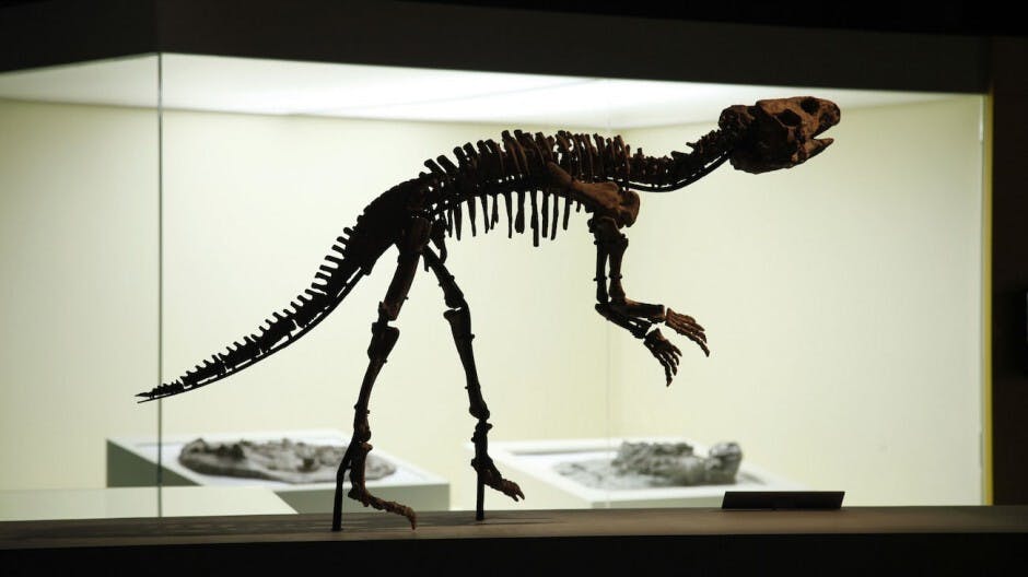 如何為STEM課程開拓空間？