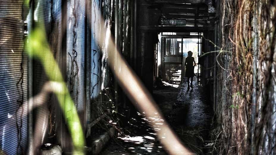 探索藤蔓纏繞的廢棄營 Exploring an Abandoned Camp Entangled by Vines