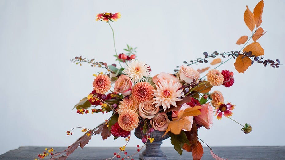 萬物有情，花中有意。（Shutterstock）