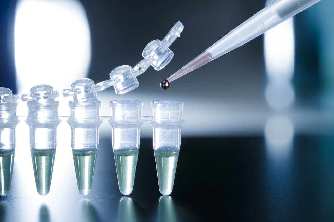 癌症幹細胞（Cancer Stem Cell）更尤其具有「分化」及「自我複製」等能力。（Shutterstock）