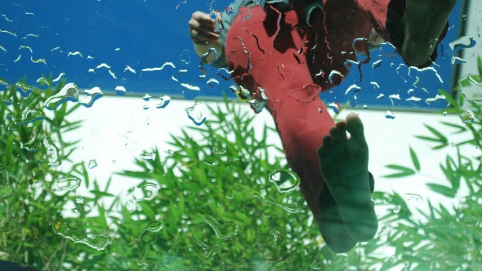 強健步履 喝豬蹄胡桃湯