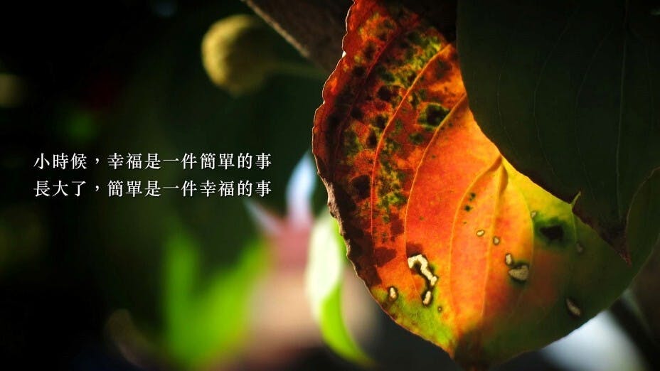 「幸福」並無一個標準。（作者提供圖片）
