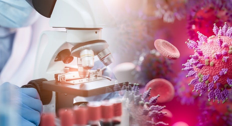 將細胞和微生物影像放大幾百倍的顯微鏡（microscope）究竟是誰發明的？（Shutterstock）