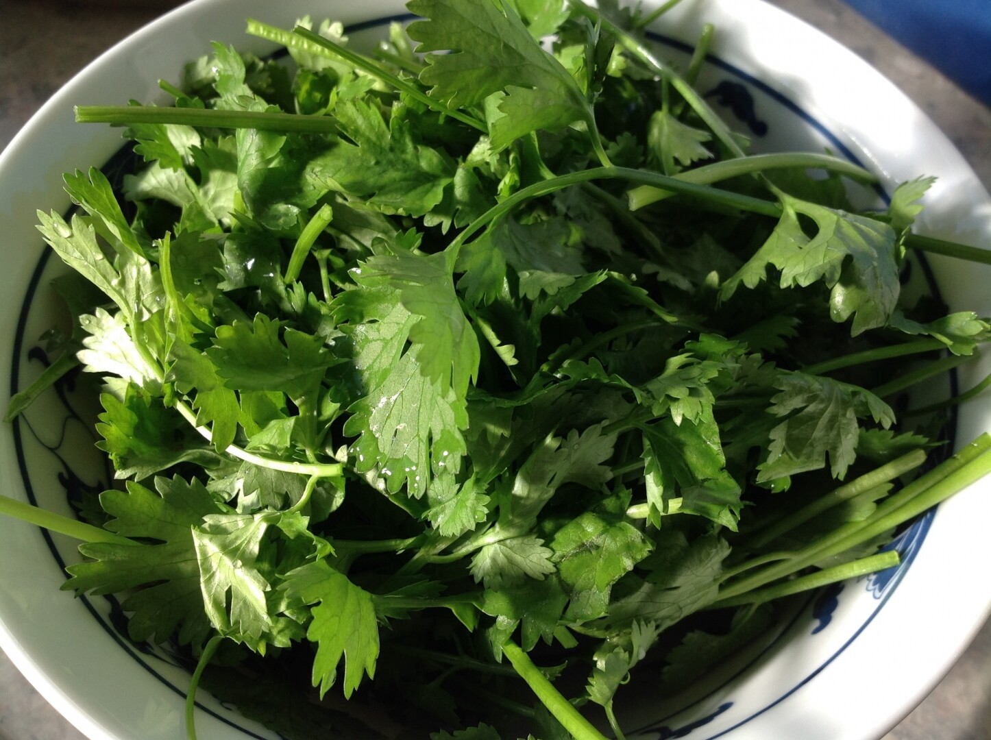 芫荽又叫「香菜」，上海話只稱之為「香菜」 而沒有他名。（Peakpx）