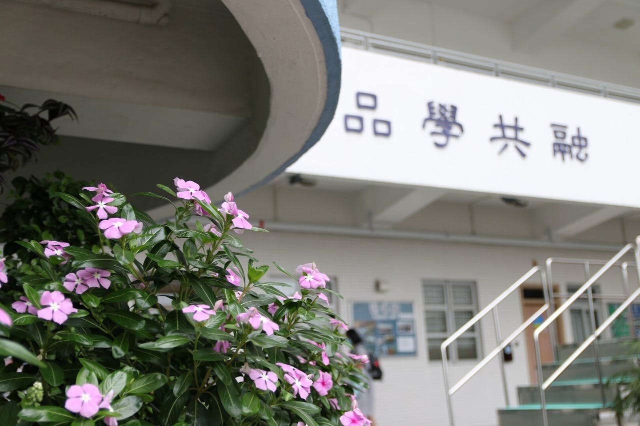 假設當初不增撥資源，學校不能聘任合約老師，眾多新畢業者即使想投身教育行業，也不得其門而入。（灼見名家圖片）