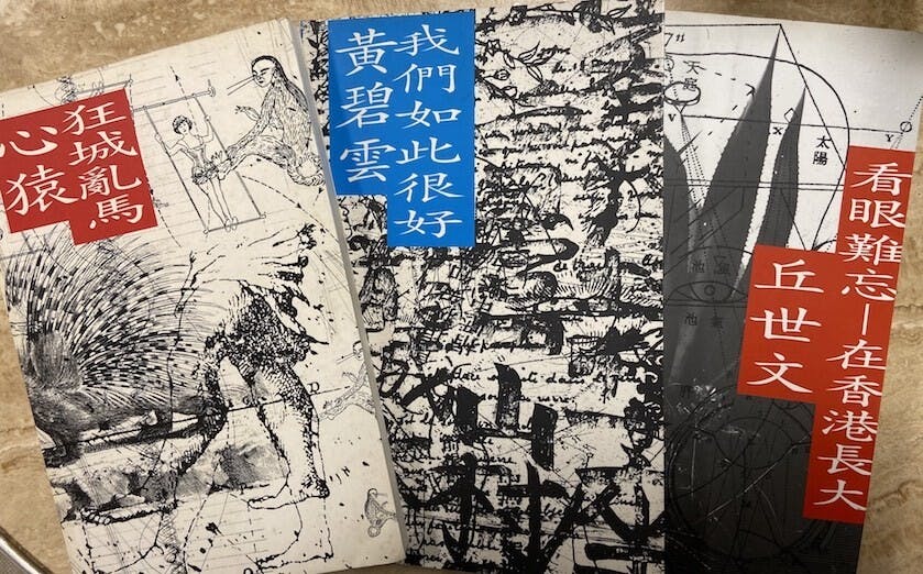 青文《文化視野叢書》成為文青追捧的讀物。