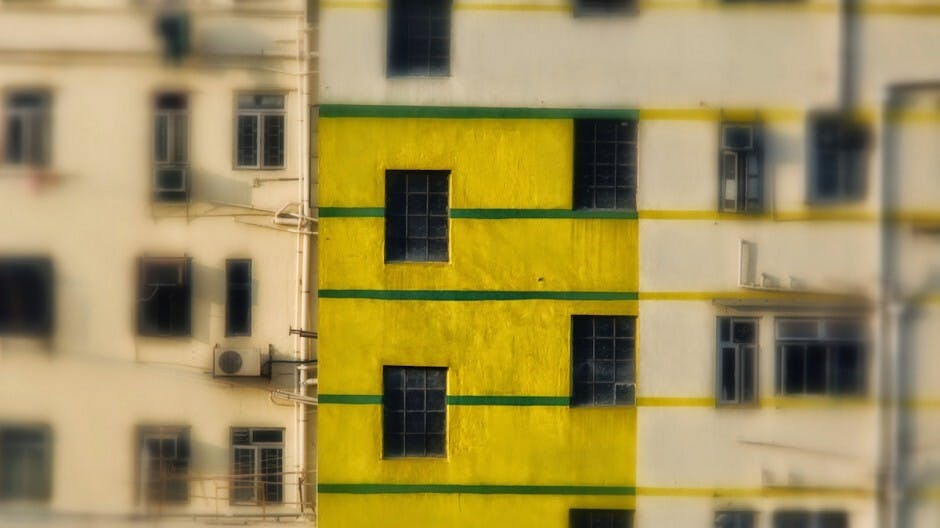 想像與現實之間