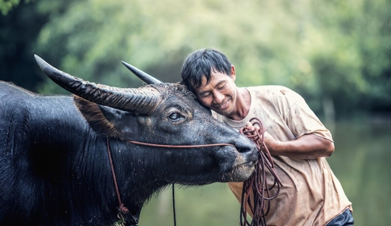 尊重別人的勞動，要感謝辛勞的付出。（Pixabay）