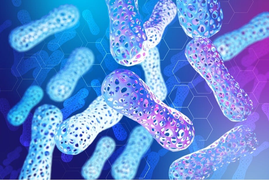 益生菌不會對腸道造成危害，它們會平衡腸道微生物生長，從而使腸道更健康。（Shutterstock）