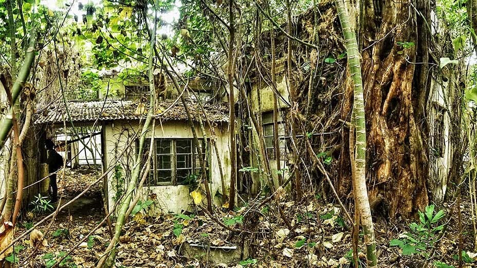 Hugo 探索廢棄村屋 Hugo Explores Abandoned Village Houses