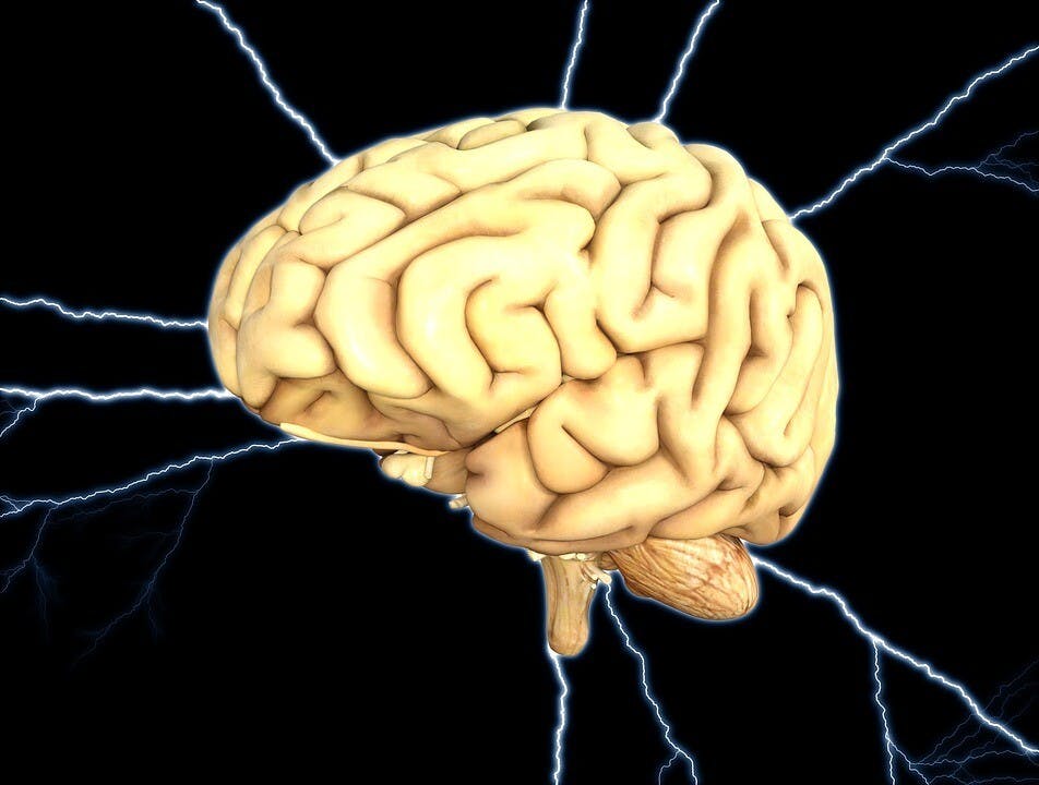 當神經系統中谷胺酸鹽神經（Glutamatergic Neuron）的活動上升，能帶動其他神經，提升其活躍性。（Pixabay）