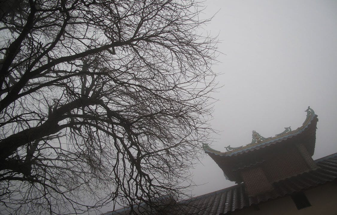 每一個當下，就是我們的禪堂，就是我們的修行。（作者提供）