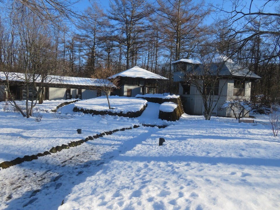 冰天雪地中，不同的展館，散落在森林中不同的角落。