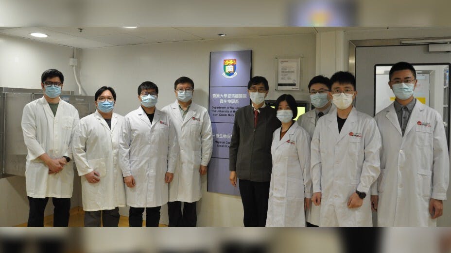 港大醫學院研究團隊合照。（香港大學醫學院）