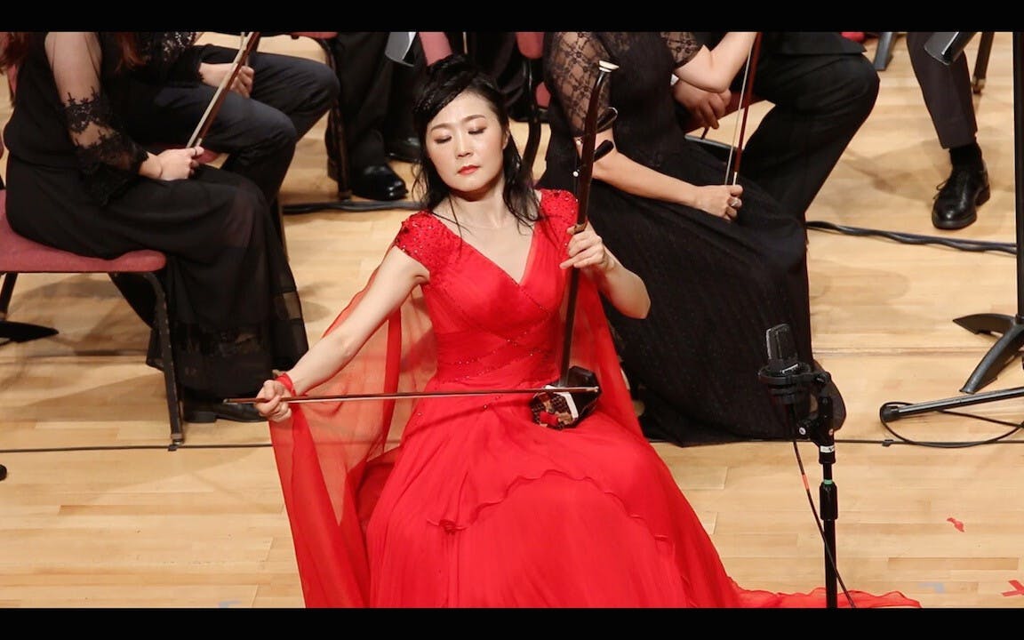 邵琳的二胡演奏音色細膩，技巧嫺熟，音樂感人而別具一格，充滿着豐富的藝術表現力和感染力。
