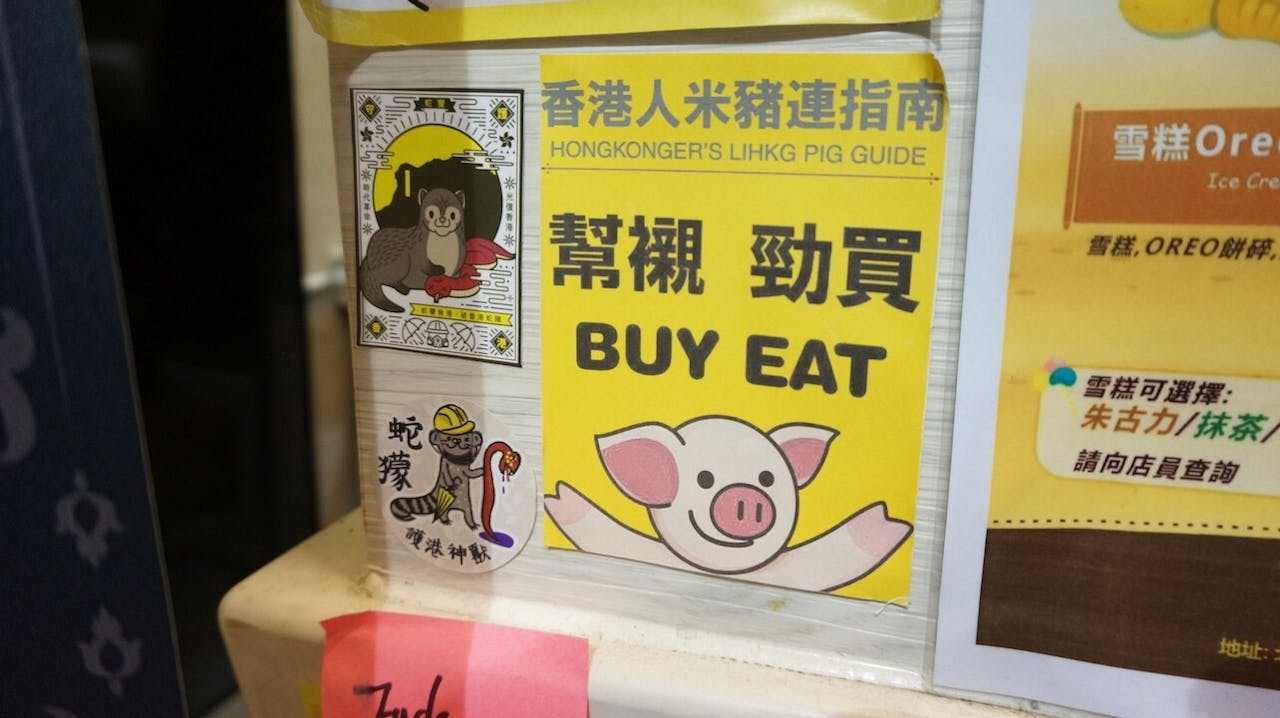 我用我的錢買我喜歡的東西，用我的票支持我喜歡的候選人，關你政府乜事？（灼見名家圖片）