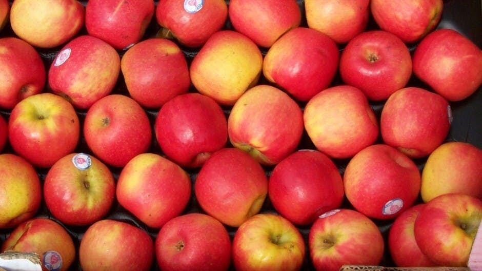 Fruits and Vegetables