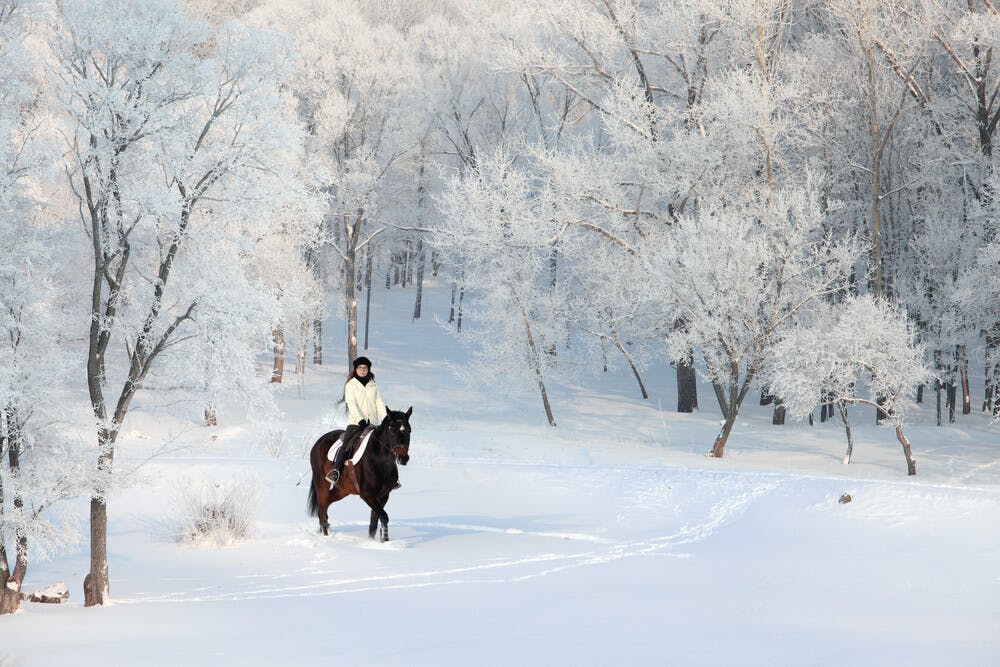 各種跡象愈來愈明顯，這個冬天真會是極之寒冷的。（Shutterstock）