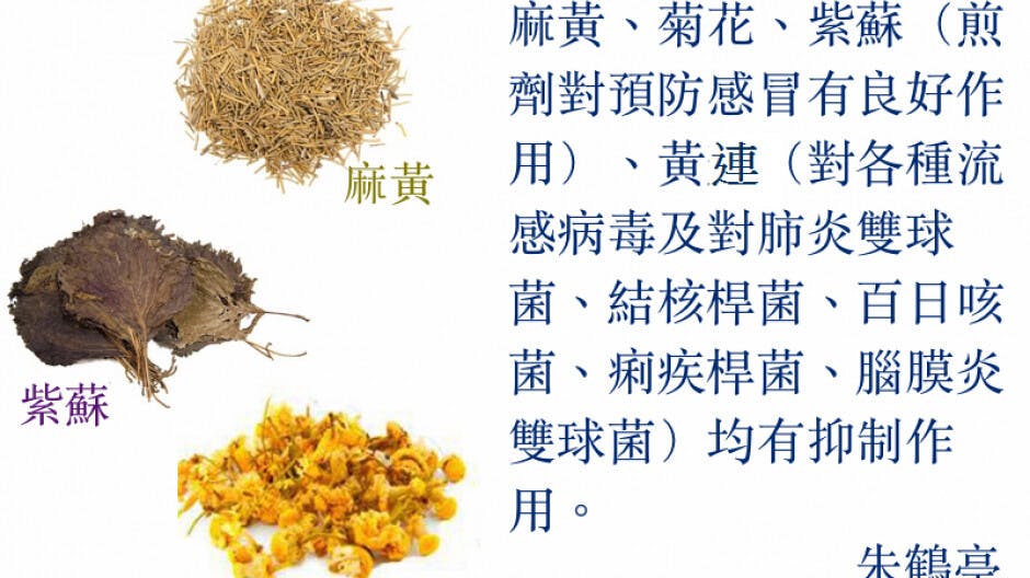 中草藥抑制流感