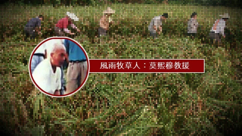 風雨牧草人