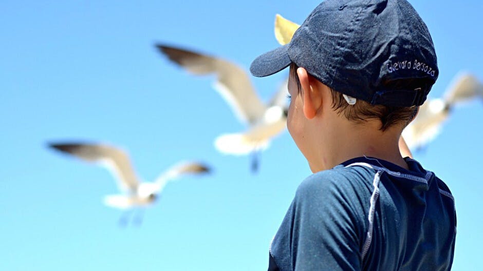 帶孩子四處旅遊是寵壞？