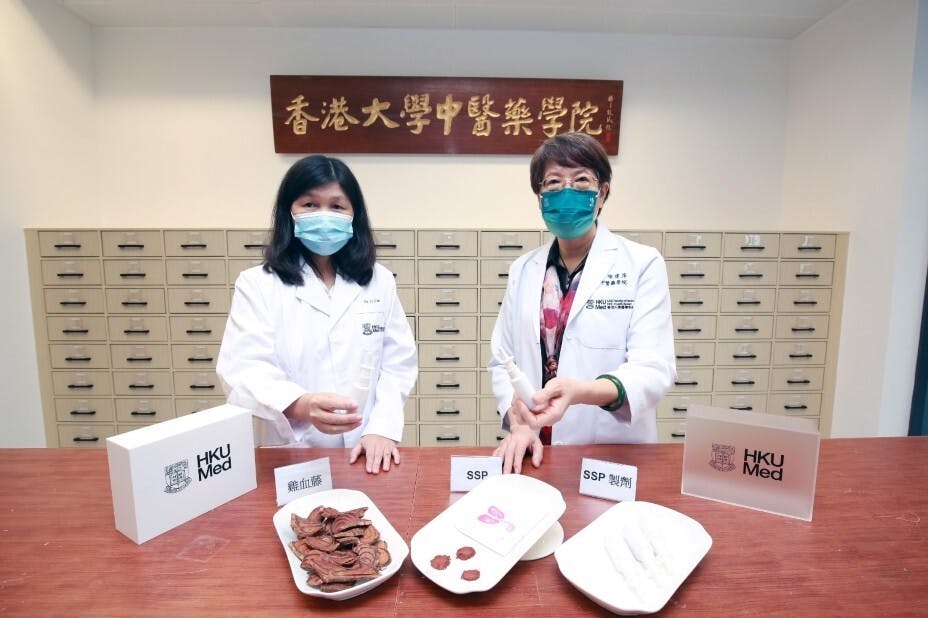 陳建萍博士（右）及劉利博士（左）的研究團隊共同發現，中藥雞血藤提取物可抑制及阻止新冠病毒入侵。（香港大學中醫藥學院圖片）