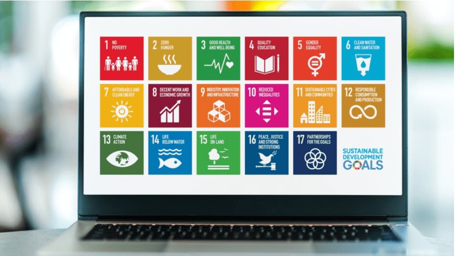 聯合國提出17個可持續發展目標（SDGs），能從什麼範疇着手？（Shutterstock）