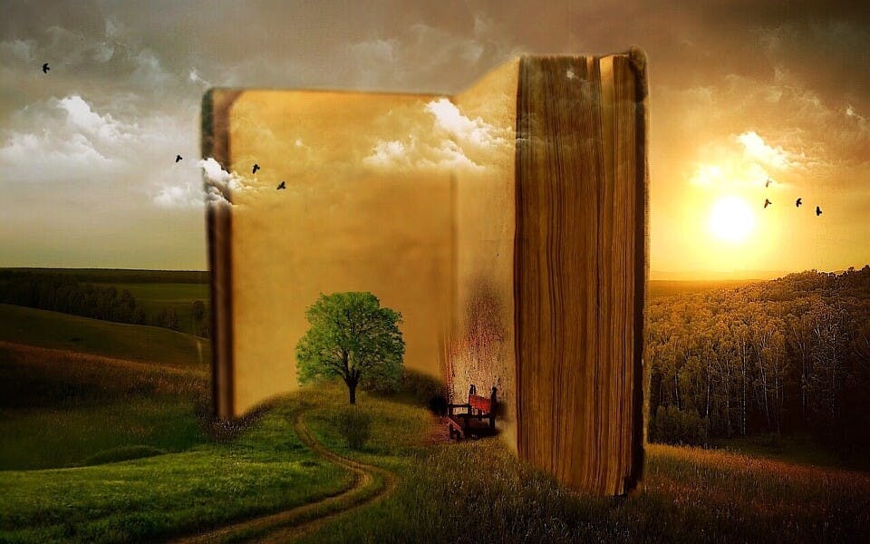 她熱情地說：「它們是我最喜歡的書。那年輕學生或許並不是你，但無論如何，謝謝你。」一時之間我無言以對。（Pixabay）